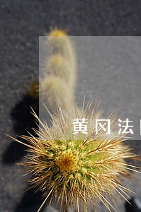 黄冈法院招标采购信息 黄冈法院招标采购信息