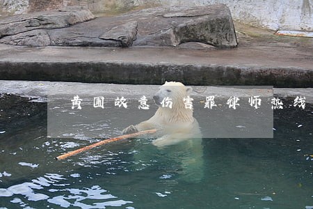 黄圃故意伤害罪律师热线电话 黄圃故意伤害罪律师热线电话
