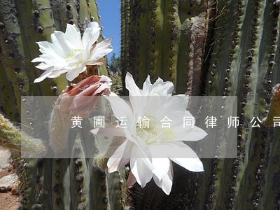 黄圃运输合同律师公司 黄圃运输合同律师公司