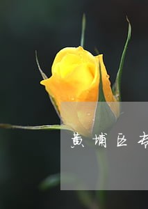 黄埔区专业债务律师 黄埔区专业债务律师