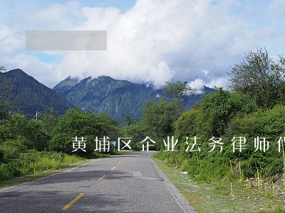 黄埔区企业法务律师代理 黄埔区企业法务律师代理