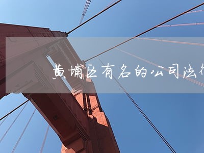 黄埔区有名的公司法律顾问服务 黄埔区有名的公司法律顾问服务
