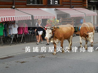 黄埔房屋买卖律师哪个强 黄埔房屋买卖律师哪个强