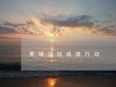 黄埔法院战狼行动