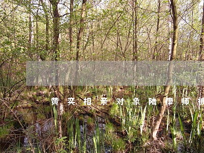 黄奕相亲对象陆律师被爆是海王 黄奕相亲对象陆律师被爆是海王