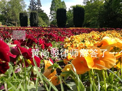 黄尚骏律师解答了一个网友 黄尚骏律师解答了一个网友