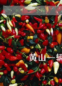 黄山一辆法院警车与三轮车相撞 黄山一辆法院警车与三轮车相撞