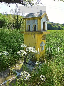 黄山中小企业律师顾问地址 黄山中小企业律师顾问地址