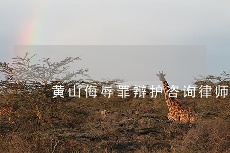 黄山侮辱罪辩护咨询律师 黄山侮辱罪辩护咨询律师