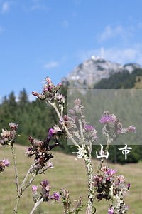 黄山市司法局内设机构 黄山市司法局内设机构