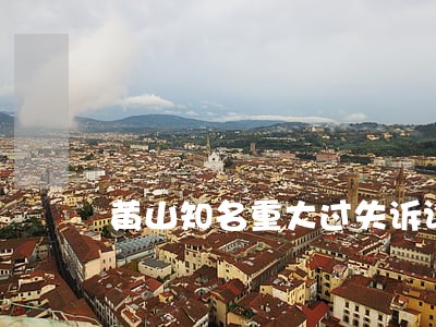 黄山知名重大过失诉讼律师 黄山知名重大过失诉讼律师