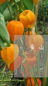 黄山票据律师咨询电话