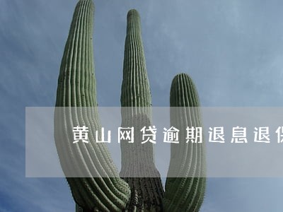黄山网贷逾期退息退保服务费用