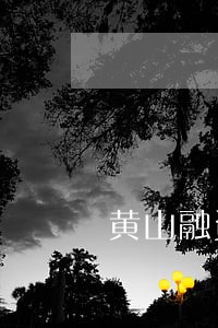 黄山融资借款在线律师 黄山融资借款在线律师