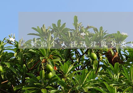 黄岛个人违法建筑分类处罚表 黄岛个人违法建筑分类处罚表