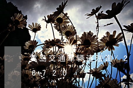 黄岛交通车辆违法询/2023020206720
