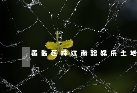 黄岛区珠江南路娱乐土地司法拍卖