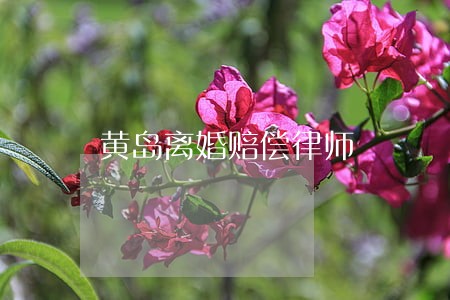 黄岛离婚赔偿律师 黄岛离婚赔偿律师