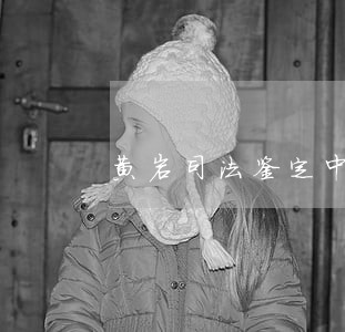 黄岩司法鉴定中心有几家