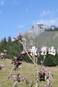 黄岩违法停车多少钱