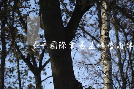 黄平国际贸易法律咨询律师 黄平国际贸易法律咨询律师