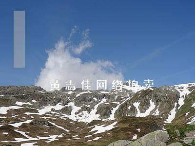 黄志佳网络拍卖 黄志佳网络拍卖