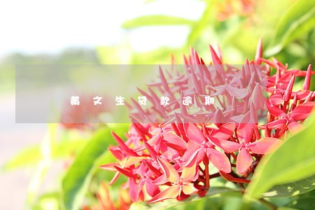 黄文生贷款逾期 黄文生贷款逾期