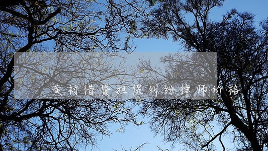 黄村借贷担保纠纷律师价格 黄村借贷担保纠纷律师价格