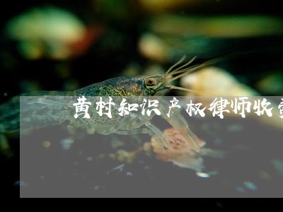 黄村知识产权律师收费标准 黄村知识产权律师收费标准