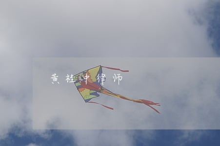 黄桂中律师 黄桂中律师