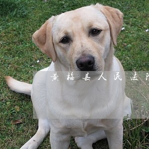 黄梅县人民法院信息公开网 黄梅县人民法院信息公开网