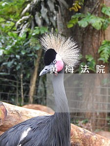 黄梅法院电话打不通 黄梅法院电话打不通