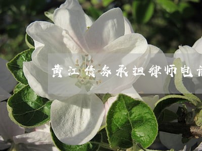 黄江债务承担律师电话 黄江债务承担律师电话