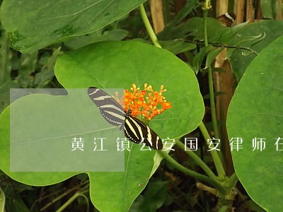 黄江镇公安国安律师在线免费咨询 黄江镇公安国安律师在线免费咨询