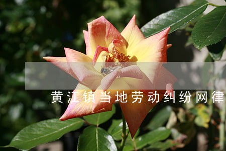 黄江镇当地劳动纠纷网律师 黄江镇当地劳动纠纷网律师