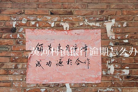 黄河村镇银行逾期怎么办 黄河村镇银行逾期怎么办
