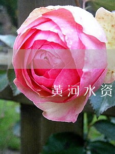 黄河水资源保护法规亟待完善 黄河水资源保护法规亟待完善