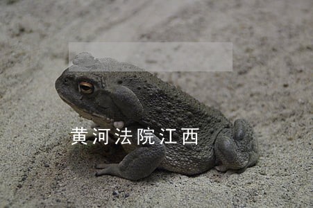 黄河法院江西 黄河法院江西