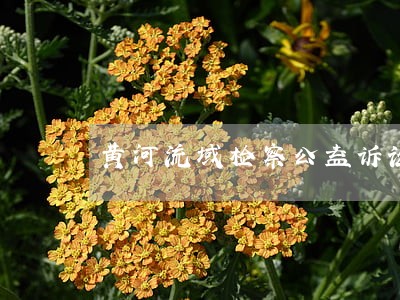 黄河流域检察公益诉讼该如何做 黄河流域检察公益诉讼该如何做