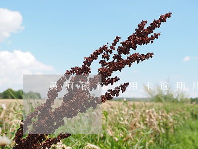 黄河银行信用卡逾期几天 黄河银行信用卡逾期几天