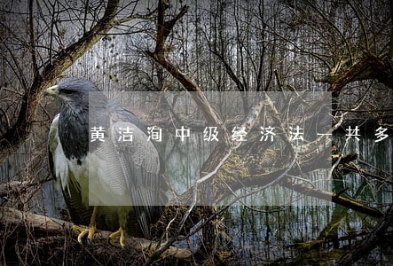 黄洁洵中级经济法一共多少讲 黄洁洵中级经济法一共多少讲
