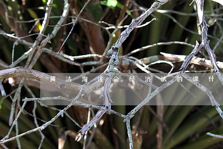 黄洁洵注会经济法的课什么时候出 黄洁洵注会经济法的课什么时候出