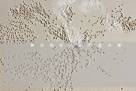 黄洁洵经济法听着太累 黄洁洵经济法听着太累