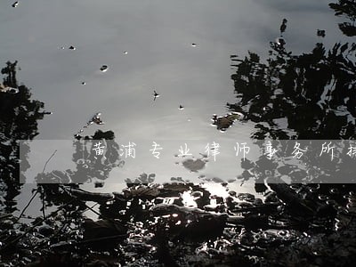 黄浦专业律师事务所排名 黄浦专业律师事务所排名