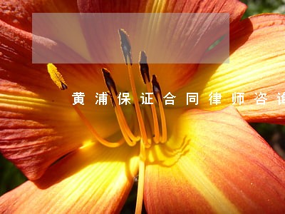 黄浦保证合同律师咨询 黄浦保证合同律师咨询