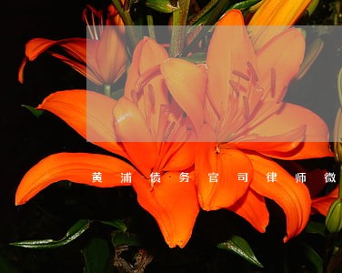 黄浦债务官司律师微信免费咨询
