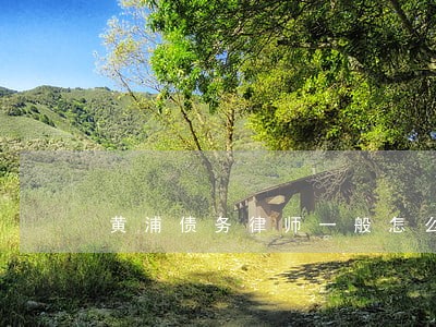 黄浦债务律师一般怎么收费 黄浦债务律师一般怎么收费