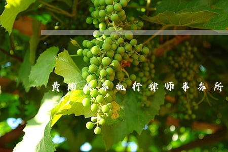 黄浦债务执行律师事务所