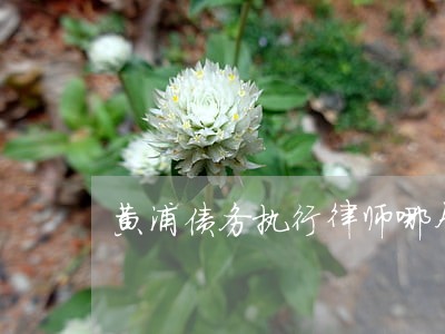 黄浦债务执行律师哪个好 黄浦债务执行律师哪个好