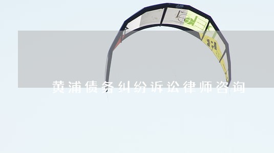 黄浦债务纠纷诉讼律师咨询 黄浦债务纠纷诉讼律师咨询